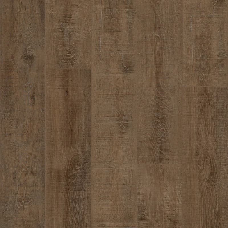 Bark