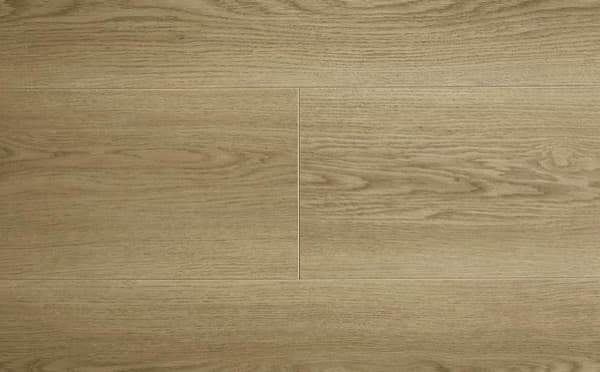 Forest Oak